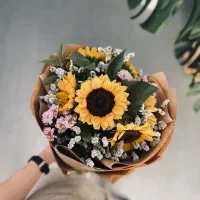 تولید کننده محتوا،ادمین و فروشنده