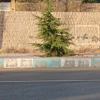 کنار-زمین-های-بسیجیان