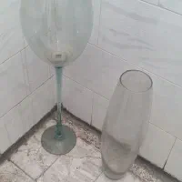 تنگ ماهی