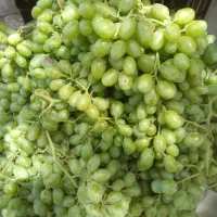 آبلیمو و آبغوره