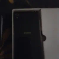 سونی زد