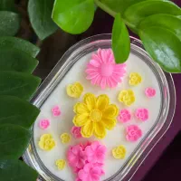 شمع های ژورنالی