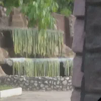 معماری تزئینات