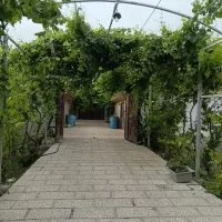 اجاره باغ یک میلیون