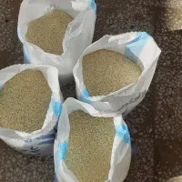 برنج چمپا کامفیروز