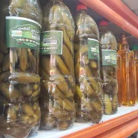 خیارشور
