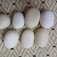 سنگ الماس اسیاب