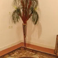 نخل تزئینی