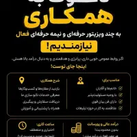 استخدام ویزیتور