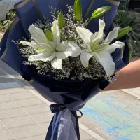 لیلیوم اورینتال