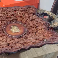 میوه خوری