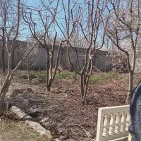 بنایی سیمان کاری خورده کاری