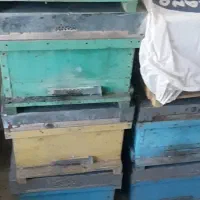 جعبه کندو زنبور عسل