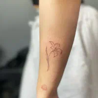تتو حرفه ای با قیمت مناسب