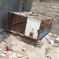 خانه کبوتر اهنی زد سرقت