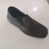 انتظامی