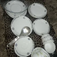 ظروف چینی