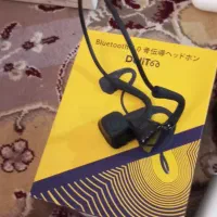ارپاد نو نو