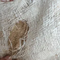 کپک