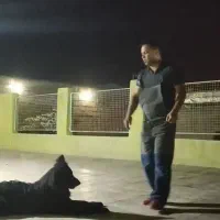 مربی سگ. آموزش سگ. پانسیون سگ
