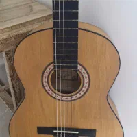 گیتار پارسی