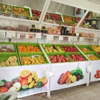 استند میوه فروشی همراه باسبدباآینه درحد نو