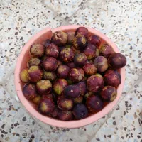 انجیر تر وتازه