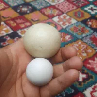 الماس آسیاب