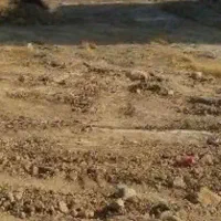 فروش-زمین-تجاری