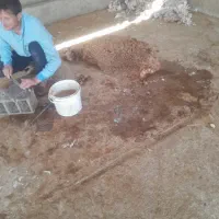 پشم زنی