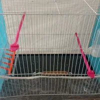 قفس پرنده