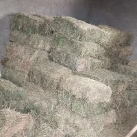 یونجه باغچه