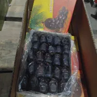 فروش خرما دو ردیف