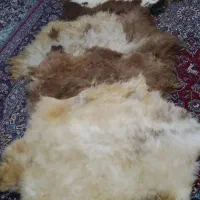پوست عتیقه دباغی شده