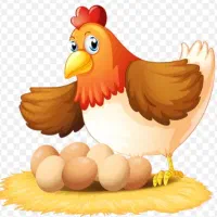 ویزیتور خانم و آقا