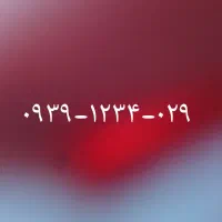 0939-1234-029