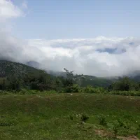 شمال گردی