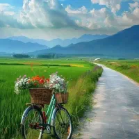 راهنمایی طبیعت