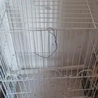 قفس پرنده