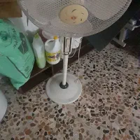 پنکه ایستاده