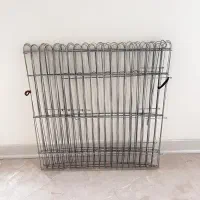 پارک بازی سگ و گربه نو