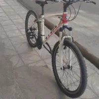 دوچرخه ویوا اصلی