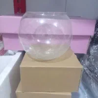 تنگ ماهی عید