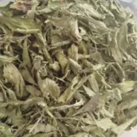 استویا شکر طبیعی مناسب برای افراد دیابتی