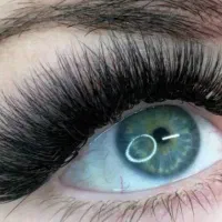 اجاره تخت به مژه کار