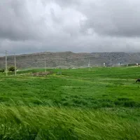 زمینه-باغ-شهری