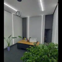 داوطلبانه وکیل