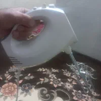 هم زن تولیپس