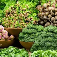 استخدام  کارمند فروش