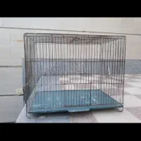 قفس پرنده
